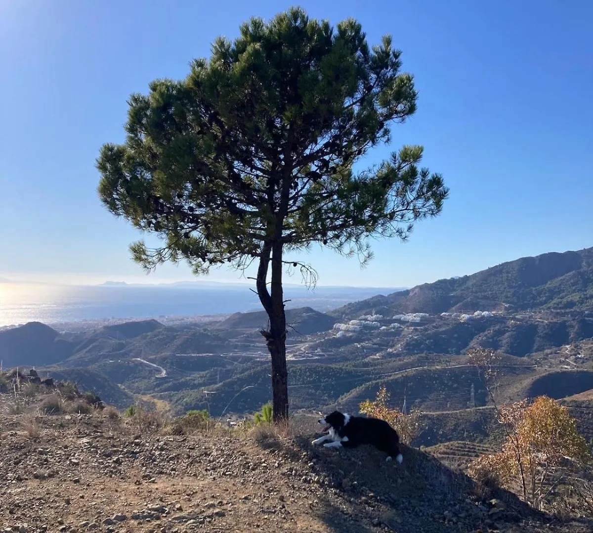El Mirador By Bh Marbella Διαμέρισμα 0*,